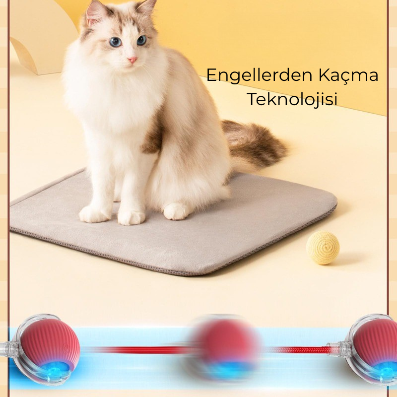 İnteraktif Patitop – Kuyruklu ve Otomatik