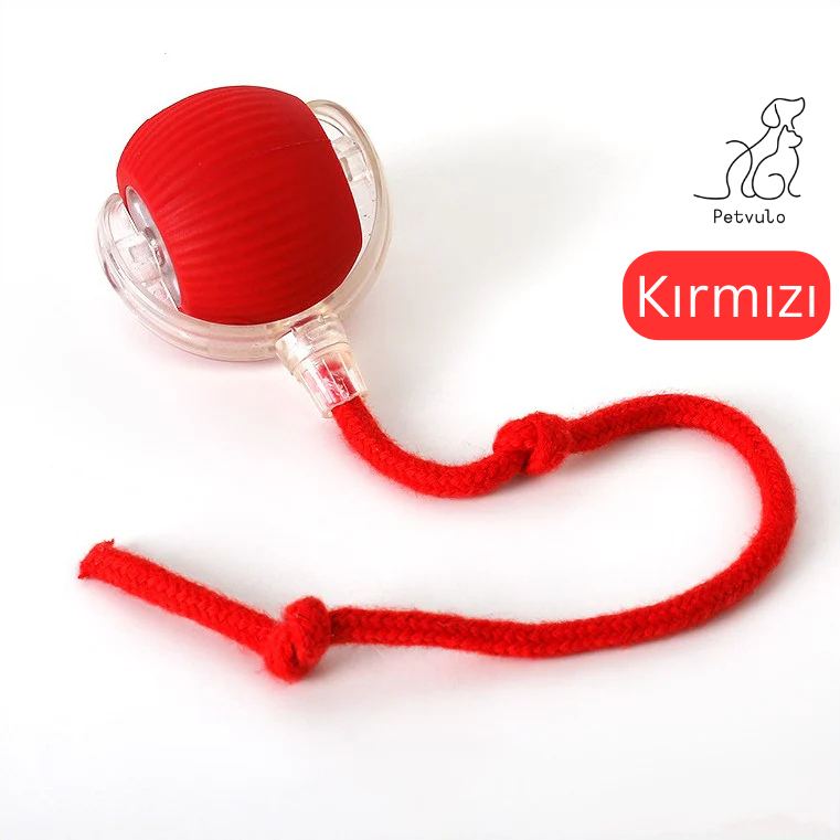 İnteraktif Patitop – Kuyruklu ve Otomatik